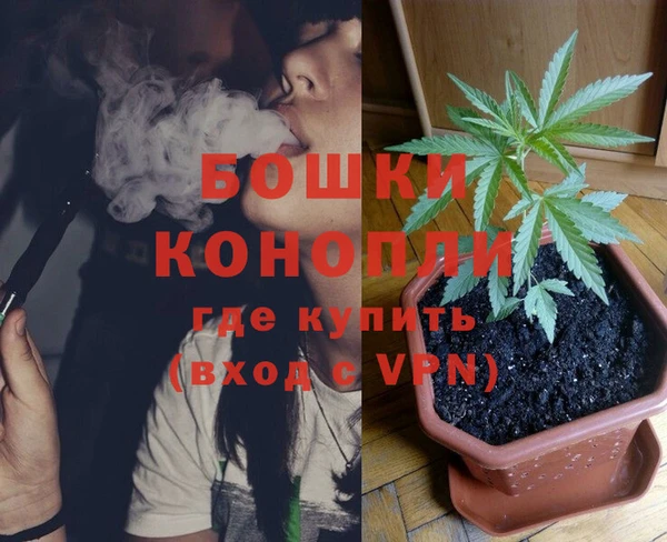 ГАЛЛЮЦИНОГЕННЫЕ ГРИБЫ Апатиты