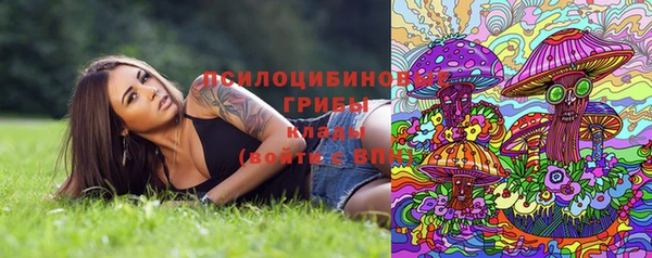mdpv Анжеро-Судженск