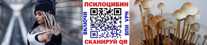 Псилоцибиновые грибы Magic Shrooms  дарнет шоп  сайты даркнета клад  Арск 